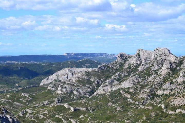 Le Jardin Des Alpilles Villa Eyguières Екстериор снимка